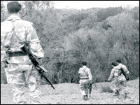 Un Emir captur&eacute; &agrave; Collo