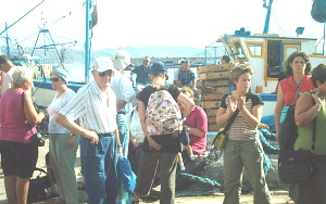 Pieds noirs &agrave; Collo