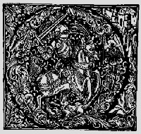 roi pierre en armure