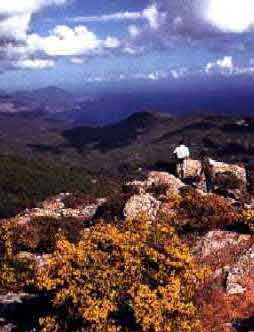 vue du Djebel el Goufi