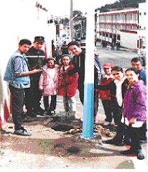 Reboisement &agrave; Collo