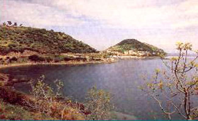 La baie des sangliers